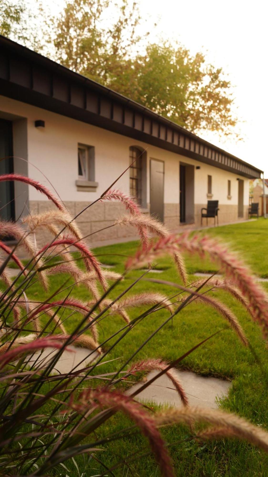 Remise Brasch - Zwischen Bahnhof Und Elbe Wittenberge Exterior foto